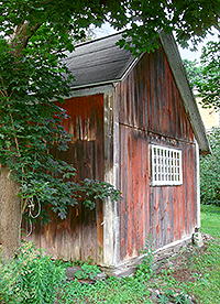 Shed